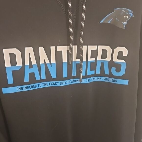 Panthers Black Hoodie - Picture 2 of 8